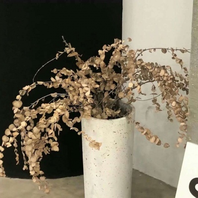 兽设质感表现实用教程Furry群